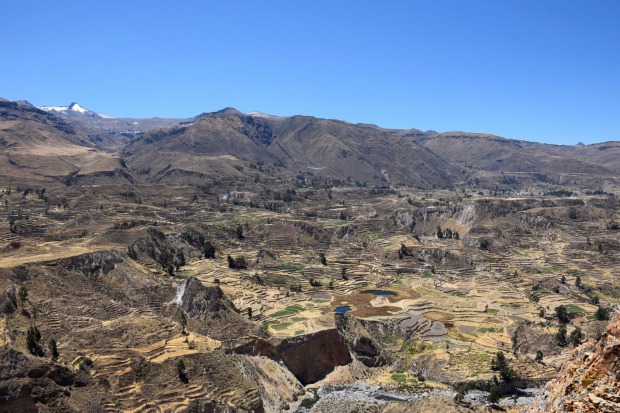 The valley of Colca Canyon, Peru was home to the Cabana and Collagua people almost 2000 years ago. They built a system ...