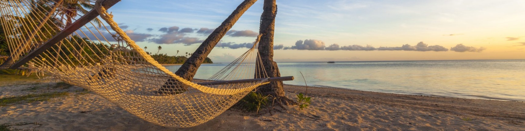 Beach hammock