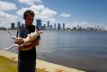 This picture of Roger Federer cuddling Casper the joey has gone viral on social media.