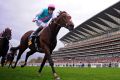 Superstar: Frankel's offspring seem to have inherited plenty of his ability. 