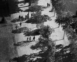 Iconic Paris from the Eiffel Tower. Observing locals on the their way to work in the early morning with the sun low on ...