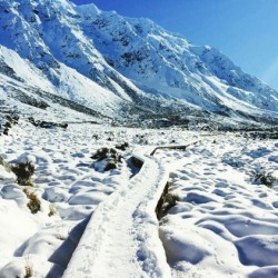 FINALIST: Hooker Valley Track.