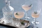 Grapefruit gin fizz