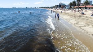 There have been reports of a shark sighting at St Kilda beach.