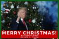 Merry Christmas from President-Elect Donald J Trump