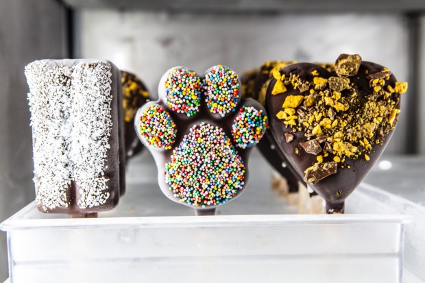 Paw-shaped things on sticks: Choc-dipped gelato at Coffetti.