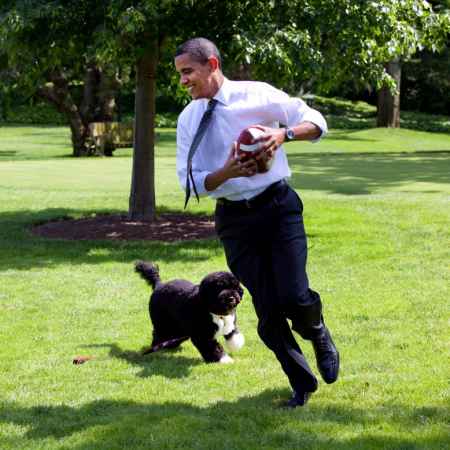 President Barack Obama, with the family dog Bo, playing football on the South Lawn of the  White House May 12, 2009.  White House Photo by Pete Souza.  This official White House photograph is being made available for publication by news organizations and/or for personal use printing by the subject(s) of the photograph. The photograph may not be manipulated or used in materials, advertisements, products, or promotions that in any way suggest approval or endorsement of the President, the First Family, or the White House.