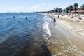 There have been reports of a shark sighting at St Kilda beach.