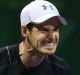 Andy Murray: The one to beat at the Australian Open, says Pat Cash. 