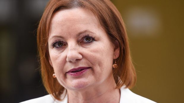 Sussan Ley addresses the expenses controversy at her electorate office in Albury on Monday.