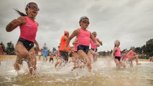 Aren't they adorable? Yet Helen Pitt is not afraid to admit she is no fan of Nippers.