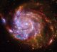 NASA'S GREAT OBSERVATORIES CELEBRATE INTERNATIONAL YEAR OF ASTRONOMY This image of the spiral galaxy Messier 101 is a ...