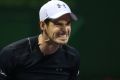 Andy Murray: The one to beat at the Australian Open, says Pat Cash. 