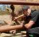 MELBOURNE, AUSTRALIA - JANUARY 11: Kevin Pietersen at Werribbee Open Range Zoo on January 11, 2017 in Melbourne, ...