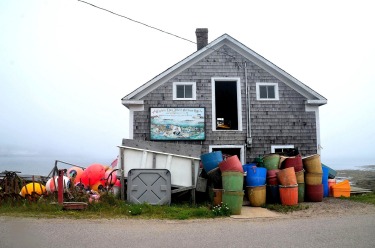 We picked a poor day to go whale-watching off remote Brier Island, Nova Scotia, in July. The fog thickened the closer we ...