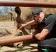 Kevin Pietersen at Werribbee Open Range Zoo on Wednesday.