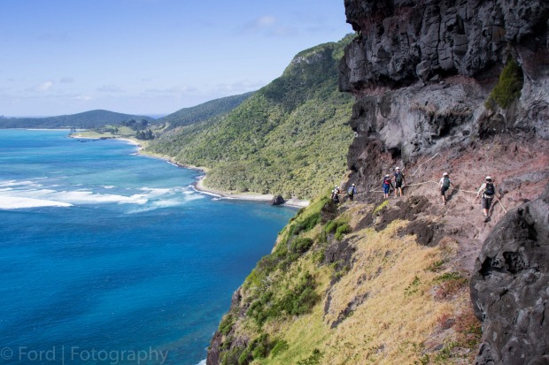 Mount Gower - Lord Howe IslandThis photo was taken on the descent from the top of the magnificent Mount Gower. The ...