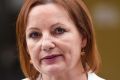 Sussan Ley, under fire for her use of travel allowances, has certified all her entitlements as being within the rules. 