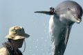 Dolphin leaps out of the water in front of Sgt. Andrew Garrett.