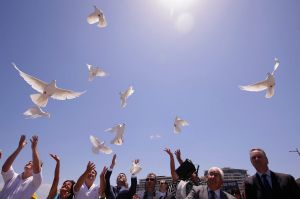 MELBOURNE, AUSTRALIA - JANUARY 08: Dignitaries and invited guests release doves before The Blessing of the Waters at ...