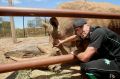 Kevin Pietersen at Werribbee Open Range Zoo on Wednesday.