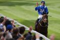 High spot of 2016: Hugh Bowman riding Winx returns to scale after winning the Cox Plate in October.