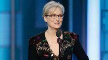 "There was one performance this year that stunned me - it sank its hooks in my heart," Meryl Streep said as she accepted ...