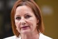 Sussan Ley, under fire for her use of travel allowances, has certified all her entitlements as being within the rules. 