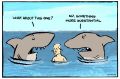 Dyson cartoon; re shark sightings , Turnbull, Age Letters 27 December 2016