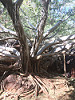 Karijini Dales Gorge