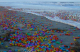 Tens of thousands of plastic eggs have been washed ashore a beach in Germany, following a storm.