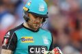 Bnned: Brisbane will not appeal Brendon McCullum's one-match suspension.