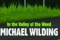 In the Valley of the Weed, by Michael Wilding.