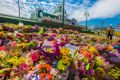 Flower tributes were left at Dreamworld following the October tragedy,