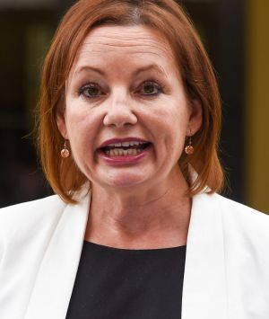 Sussan Ley has been forced to stand aside pending an investigation into her expenses.