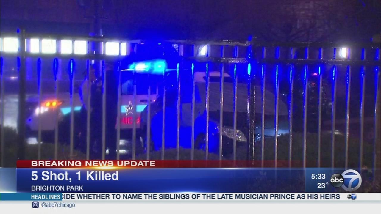 5 shot in Brighton Park shooting