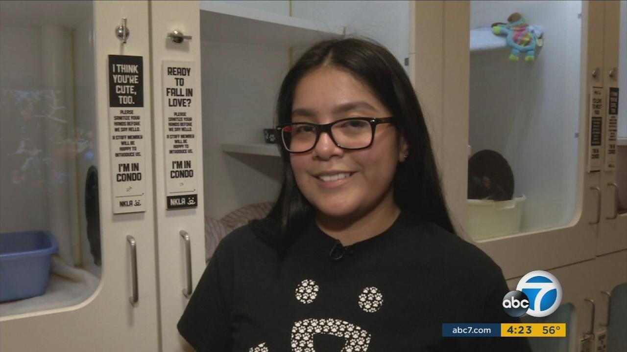 Cool Kid Emily Lopez, 17, is shown inside the NKLA Pet Adoption Center in Los Angeles.