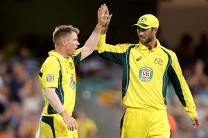 Routine win: David Warner took a couple of catches late in the contest.