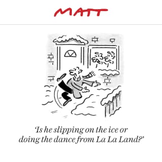 The Telegraph - Matt cartoons