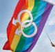 Supporters of LGBT and human rights wave rainbow flags during a rally supporting a proposal to allow same-sex marriage ...