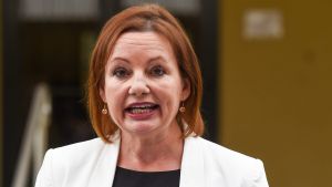 Sussan Ley has resigned from the ministry.