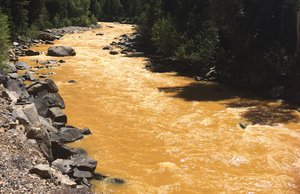 The Animas River between Silverton and Durango in Colorado, USA, within 24 hours of the 2015 Gold King Mine wastewater spill, 6 August, 2015. The toxic wastewater turned the river orange.