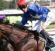 Bolter: Tye Angland rides Flying Jess to victory in the Magic Millions Guineas on Saturday. 