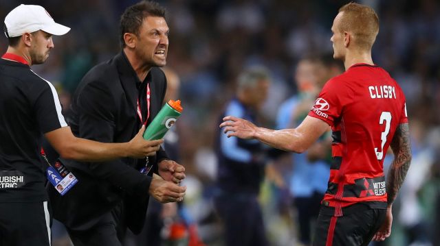 Getting hot under the collar: Wanderers coach Tony Popovic.