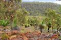 As parts of WA prepare for floods, the Avon Valley National Park has been shut in case of fire.