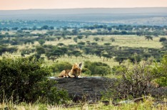 Tanzania