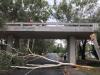 Canberra cleans up after freak storm