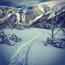 FINALIST: Smashing laps at Hotham.