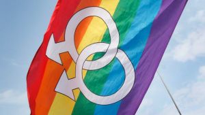 Supporters of LGBT and human rights wave rainbow flags during a rally supporting a proposal to allow same-sex marriage ...