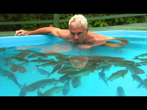 Swimming With Red Belly Piranhas - River Monsters